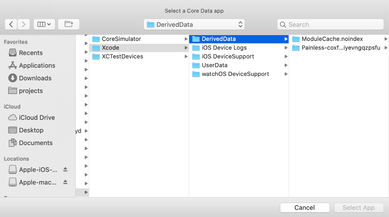 CoreDataLab - select app file